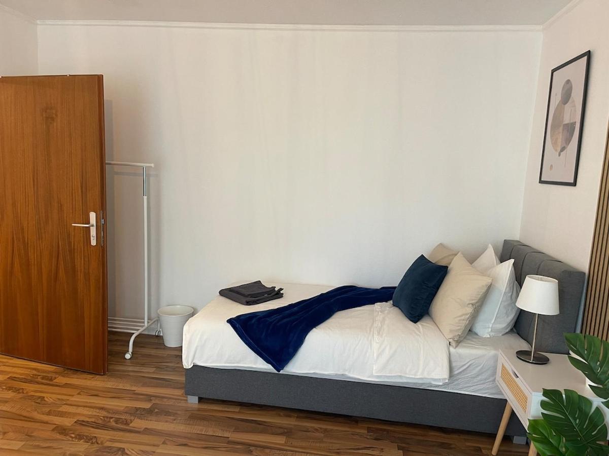 Central 3 Room Apartment For 5-7 People Людвігсгафен-на-Рейні Екстер'єр фото